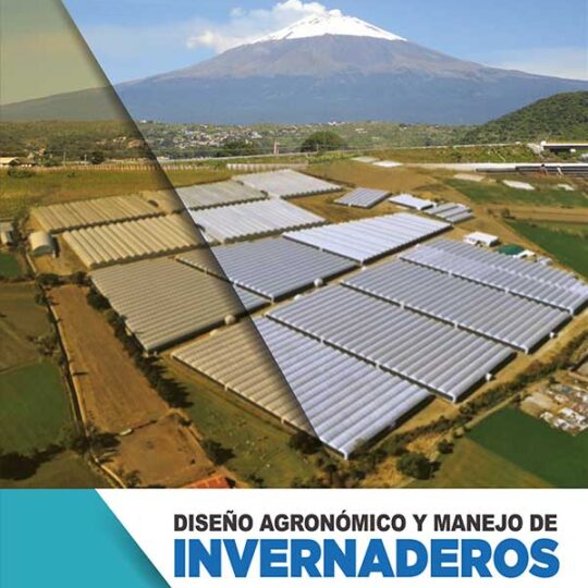 Diseño Agronómico y manejo de invernaderos