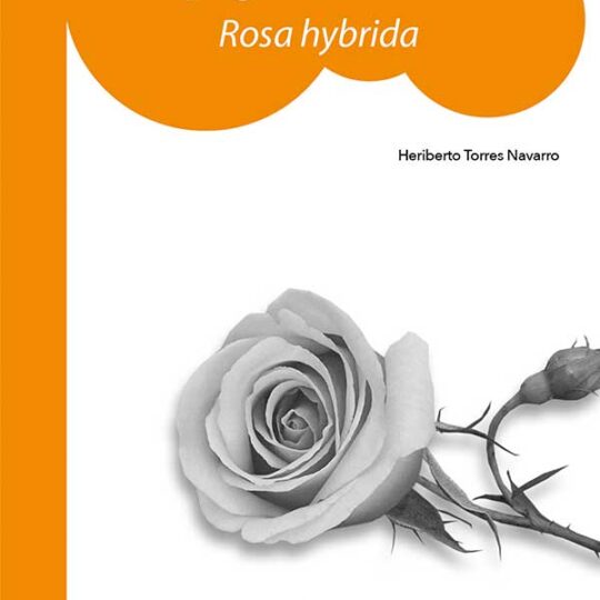 Propagación del rosal (Rosa hybrida)